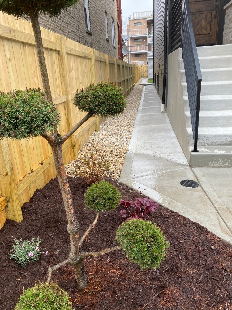 Custom Patio Design